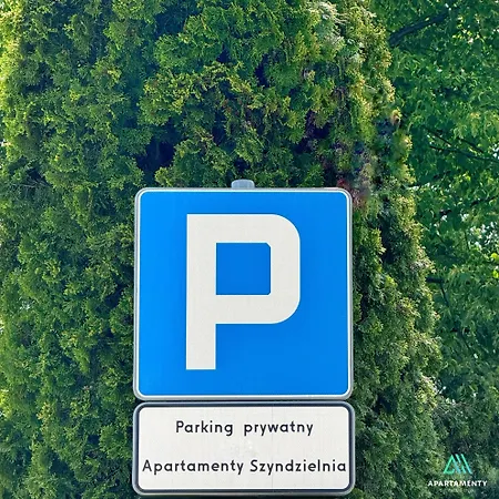 Nowe Najlepsze Szyndzielnia Biznesowe Parking Idealna Przestrzen Do Pracy I Odpoczynku